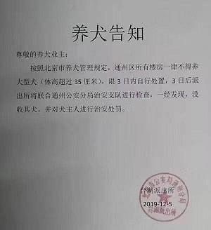 北京「限狗令」燒到台灣? 綠黨、時力兩黨交鋒