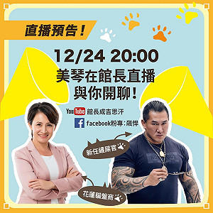 返鄉投票成連任關鍵 蕭美琴今晚8點將與館長開直播