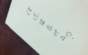 選舉專論》一位「血統」深藍的外省二代告白：為了台灣的世代 國瑜黨不是選項⋯⋯