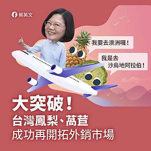 力抗疫情農產成功外銷 蔡英文：雞蛋不放同一籃方向正確