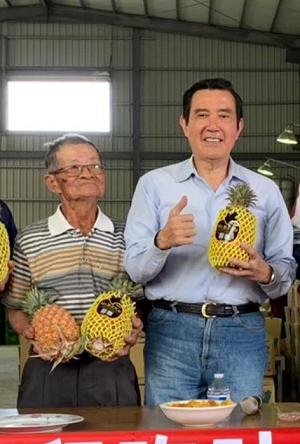武漢肺炎肆虐農民遭殃 馬英九籲：多吃鳳梨度過疫情難關