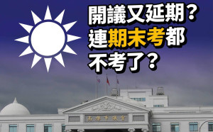 反對議會開議再延！林于凱：總質詢延到6月底市長還是韓嗎？