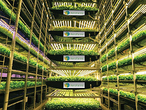 食農新趨勢！2020年食品科技500大領頭羊各領風潮