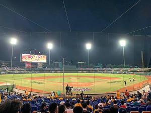 邵立中觀點》職棒是公共資產 必須正名台灣
