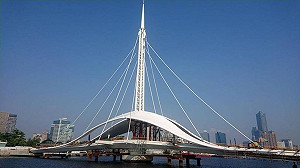(影)罷韓／被韓國瑜冰處理的「大港橋」