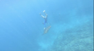 小琉球又現海龜騷擾案件！海巡署循線逮人移送法辦