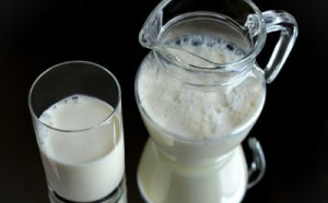 市面乳品種類多！農委會「2標章」教你分辨牛奶真偽