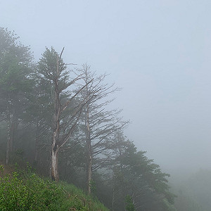 大雷雨來襲！全台5縣市注意午後雷陣雨