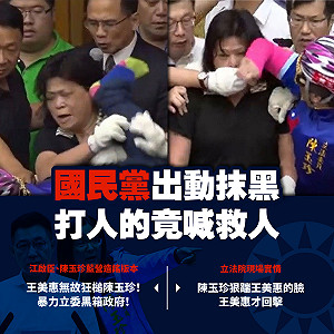 藍營控暴打陳玉珍 王美惠：難道腳踢我的臉 還要跟你說謝謝？