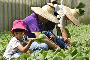 蕭徐行觀點》台灣觀光 花蓮繼位換宜蘭退位