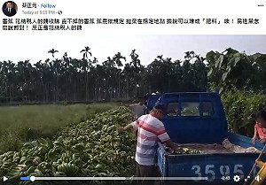 蔡正元痛批民進黨花納稅人錢棄蕉 潘孟安:綠肥及廚餘餵豬用