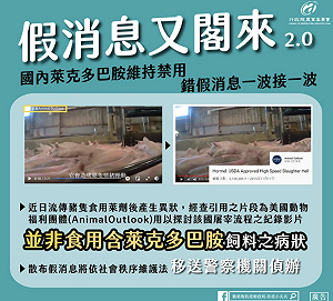 「跳舞豬」被造謠成發抖? 王定宇轟:藍側翼不查證放假消息