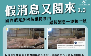 「跳舞豬」被造謠成發抖?  王定宇轟:藍側翼不查證放假消息