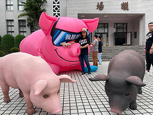 （影）秋鬥遊行是討厭民進黨大集合 陳玉珍：國民黨沒有模糊焦點