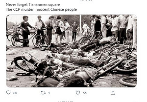 推特拒刪趙立堅諷澳洲假圖 網友火大貼 「天安門」出征戰狼