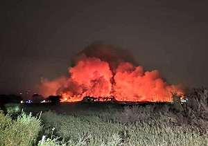 台南歸仁台糖閒置荒地大火 南市環保局重罰127.5萬元