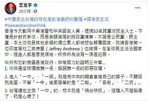 撐港民主派！王定宇嗆：台灣主張「一中」的人腦傻心壞