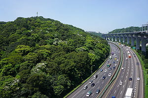 出遊不塞車！228連假6大公共運輸優惠一次看