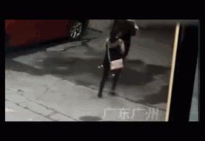 (影) 天降大狗砸癱女子 法院判要賠 被告 : 這狗跟我有甚麼關係?