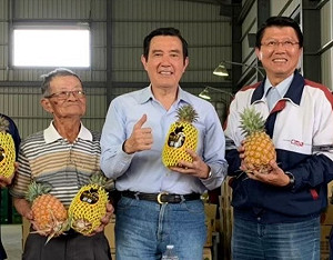 中國禁台灣鳳梨 馬英九又籲政府誠懇與中國溝通協商
