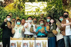 假冒總統府訂180箱 鳳梨伯遭惡搞 新光人壽買下力挺