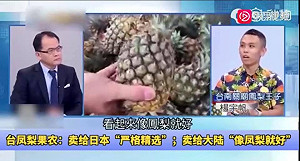 台灣鳳梨漸失競爭力？林佳新：中國市場需求 突顯台灣農業的荒謬