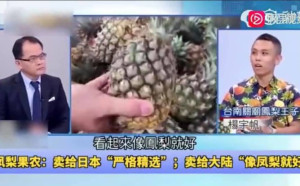 台灣鳳梨漸失競爭力？林佳新：中國市場需求  突顯台灣農業的荒謬