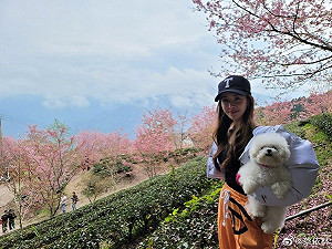 野生蔡依林出門踏青！現身新竹知名景點賞櫻