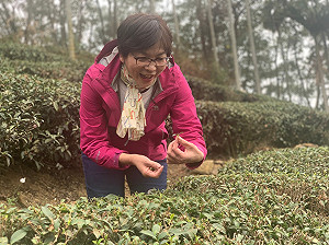 痛批政府「臨渴鑿井」 蔡壁如主張: 依法開徵耗水費