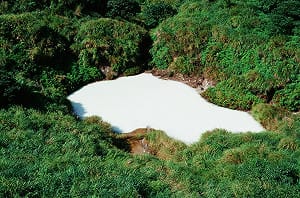 帛琉泡泡旅遊來了！準備出發夢幻景點「水母湖」、「牛奶湖」