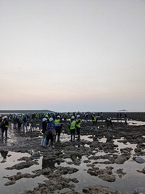 鄭運鵬嗆國民黨「踩藻礁」 意外打臉蔡英文...