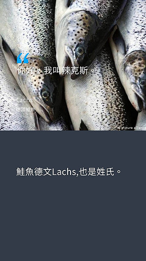 德國「壓力山大鮭魚」擬外交泡泡赴台免費吃? 小粉紅崩潰:灣灣再吹「作夢泡泡」
