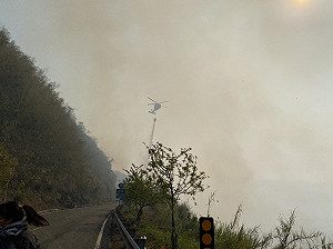 阿里山大火持續延燒 林管處課長遭落石擊中送醫