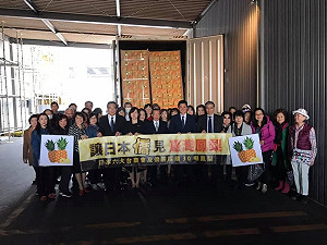 讓日本僑見台灣甜 謝長廷開箱:鳳梨抵達橫濱品質超級好