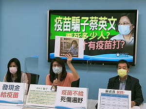 讀者投書》看到國民黨 罵不下民進黨！
