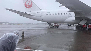 日本像太陽！捐疫苗援助讓謝金河感動落淚 曝台灣下一步：建立防疫護國陣線