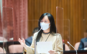 「獻策的人」想得太單純！ 綠委陳瑩：儘速把事業單位勞工納入個人補助