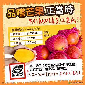 枋山芒果受疫情波及銷量大減 陳吉仲：要對抗的是病毒「全球無病毒透過食物傳播」