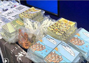 港警逮治療師工會5成員 控兒童繪本「煽動刊物」職工盟：敲響創作自由喪鐘