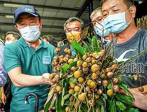 嘉義農損近4500萬元 翁章梁：做田人遇到歹年冬的悲哀