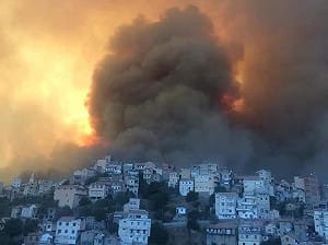 氣溫高達46度 阿爾及利亞野火肆虐 42人死亡 3名縱火犯被捕