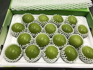 不怕農藥殘留！藥毒所：質譜快檢技術為台灣水果外銷安全把關