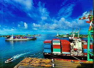 高雄港 65 與 66 號碼頭淪中資？黃國昌怒：抗中保台要「行動」別打嘴砲