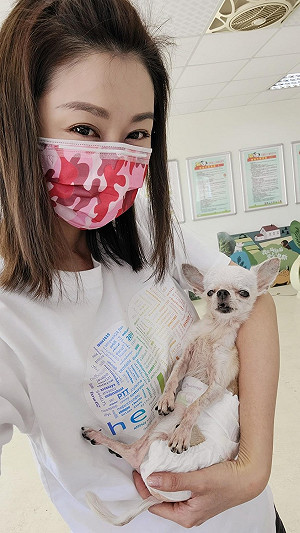 陳珮騏淚崩緊抱愛犬冰冷身軀！心碎直呼：我的六女兒離世了