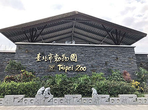 遊客注意別撲空！台北動物園6/20起休館11天