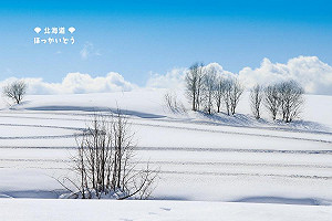 冷空氣強襲東北亞 南韓首爾0度破64年紀錄.日本北海道早17天初雪