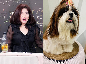 陳文茜在家暈倒8分鐘！愛犬「慌張1舉動」竟救了她一命