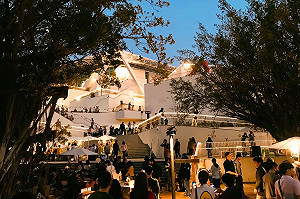 台南最美市集11/13登場！「森山市集」把美術館變森林