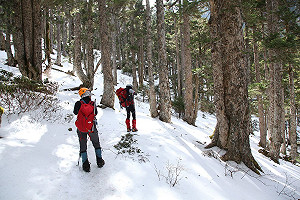 雪霸恢復山屋原住宿承載量 籲山友留意雪季登山安全