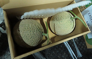 最新邊境檢驗！20項產品不合格：農藥殘留量超標達13件